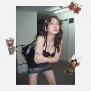 piggynoii-แจกวาร์ป-1